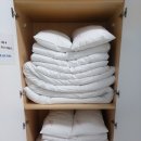 월아산 숲속의 진주 자연휴양림 | 진주 월아산 자연휴양림 숲속의집 1호 후기