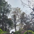 공주중학교 | [성지순례/대전교구] 황새바위성지