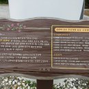 동산초등길 Daum카페