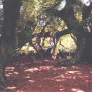 와흘본향당 이미지