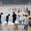 해운대해수욕장 이미지