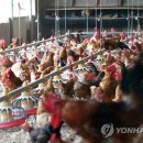 나왔다농장 이미지