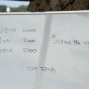 오늘은서귀포 이미지
