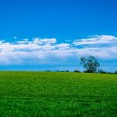 하늘바다펜션민박 이미지