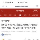 심각한 저출산 위기 반려견 사료, 아기 분유보다 많이 팔려 이미지