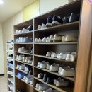 야옹이와 멍멍이 | 홍대 동물 카페 추천 [ 쥬민센터 ] 라쿤, 미어캣 직접 만난 후기