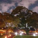 도그싸롱 이미지