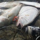 장고도7 이미지