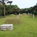 구름산책길 이미지