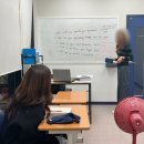 레이첼 잉글리시 이미지