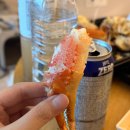 아리아리 분식 | 속초중앙시장 먹거리 추천 대게포장 코끼리분식 꽈배기 아리아리식혜