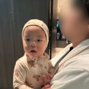 15개월 아기와 나인트리호텔후기