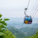 매일카프라자 이미지