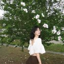 채도목장 네이버블로그