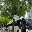 삼창모터스 | K리그1 32R 전북현대모터스 vs 대구FC 전주월드컵경기장 원정석 직관 후기 : 역대급 재밌었던 전북전 💚