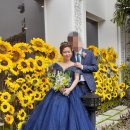 베트남국제결혼스토리 이미지