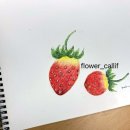 색연필 일러스트 & 보타니컬 아트 이미지