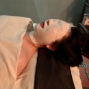 스파인더파리 이미지