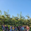 광제산영농조합법인 이미지