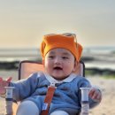 중문한그릇 이미지