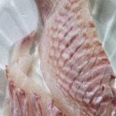 우리실내낚시터 | 🎣 날씨 상관없이 손맛 제대로! 용인 락 실내 바다낚시터 방문 후기 🎣