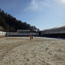 그루밍, 안나 이미지