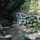 용인자연휴양림 네이버블로그