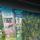 「숲속열린음악회 with 이현공원 노을 로이킴 & 유다빈밴드」 | 대구 음악회 -서구문화회관 숲속 열린 음악회.