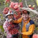 산음영농 이미지