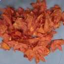 다한태권도장 이미지