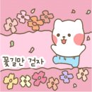 디디다 이미지