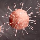 핑이비인후과신경과의원 이미지