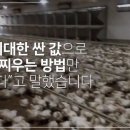 성계농장 이미지