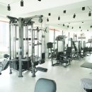 탐 휘트니스 이미지