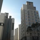 데시앙포레 이미지