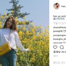 제이조이 이미지