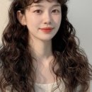 213헤어룸