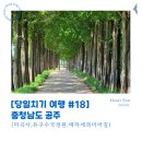 충남 공주 마곡사 유구수국정원 메타세콰이어길 당일치기 여행