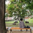 사월동 지석묘군 이미지