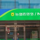 천지농협 엄다지점 이미지