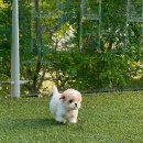 아이티즈 이미지