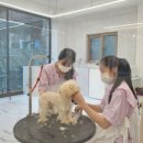 오늘의개스트 이미지