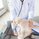 서산동물병원 이미지