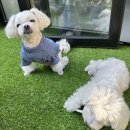 환해지개 이미지