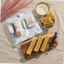 태인 애견 이미지