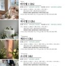 주아플레르 플라워디렉팅(x아이브스튜디오) 계약후기+짝꿍구해요