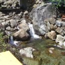 거목산장 이미지