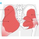 리메디얼휘트니스 이미지