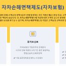 건영렌트카 이미지