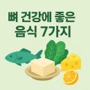 2025 뼈 건강에 좋은 음식 TOP 7｜골다공증 예방하는 한국형 식단 공개!